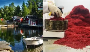 صادرات زعفران به سوئد - زعفران آنا قاین