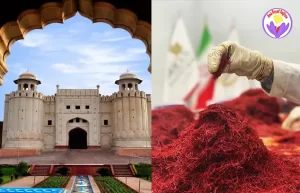 قیمت زعفران در پاکستان کیلویی - زعفران آنا قاین