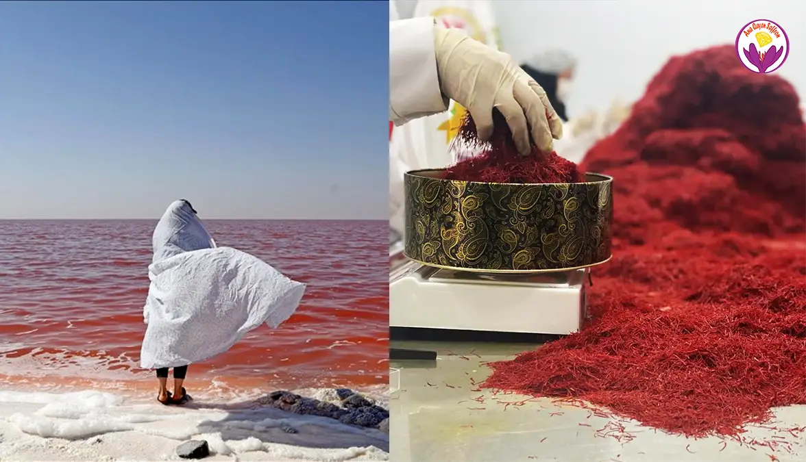 قیمت زعفران در ارومیه - زعفران آناقاین