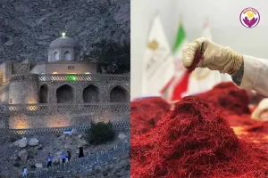 زعفران در قاینات از کجا بخرم؟ - زعفران آناقاین