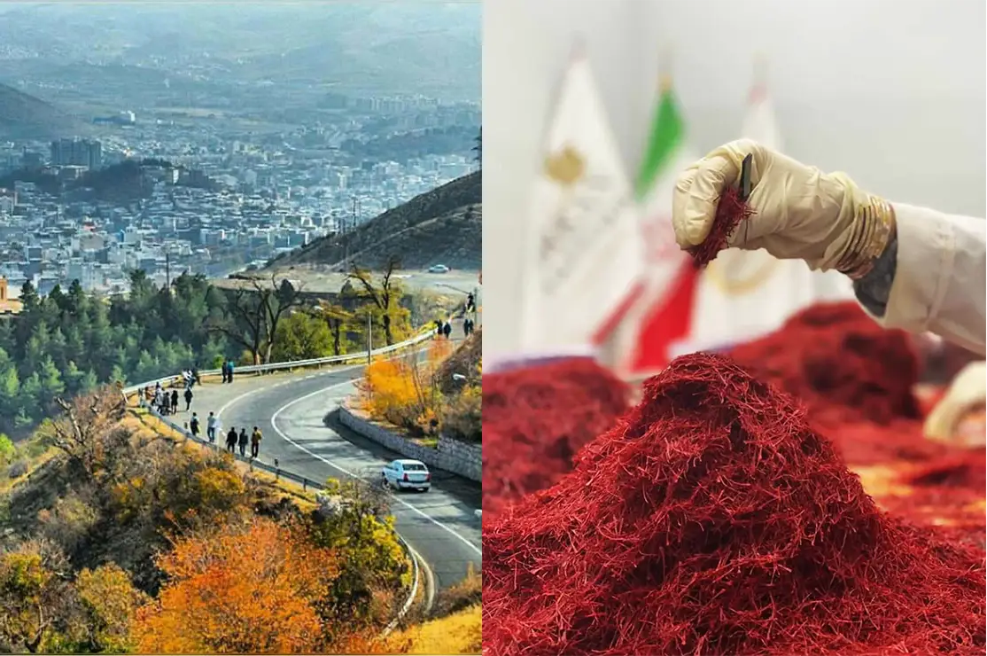 تامین کننده زعفران در سنندج - زعفران آنا قاین