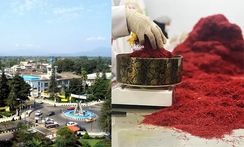 زعفران رودسر - زعفران آنا قاین