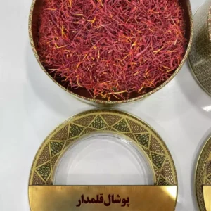پوشال قلمدار