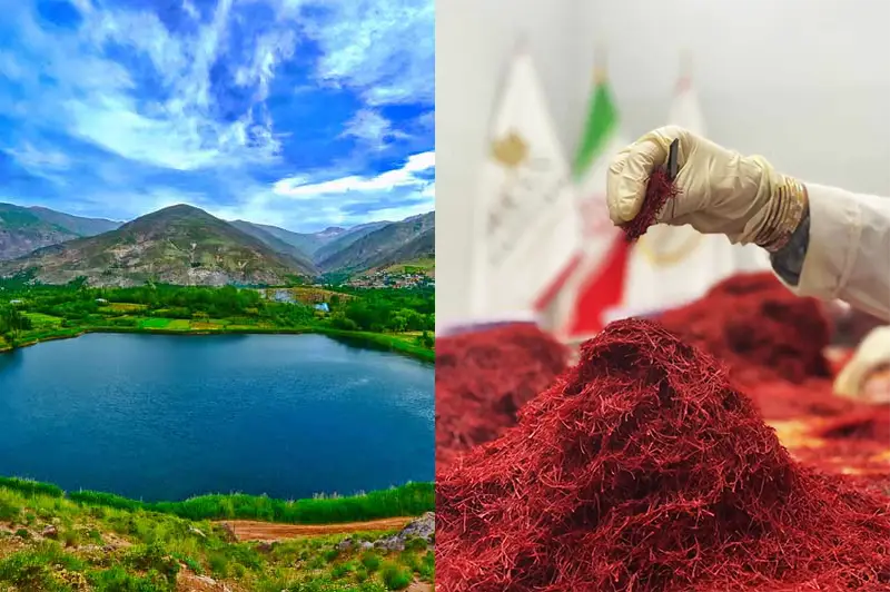 تامین کننده زعفران در قزوین - زعفران آنا قاین