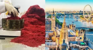 خرید زعفران در اروپا