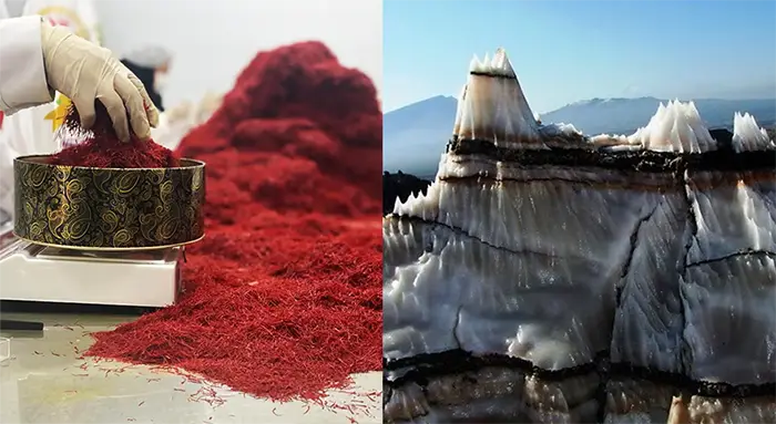 قیمت زعفران در بوشهر - زعفران آنا قاین