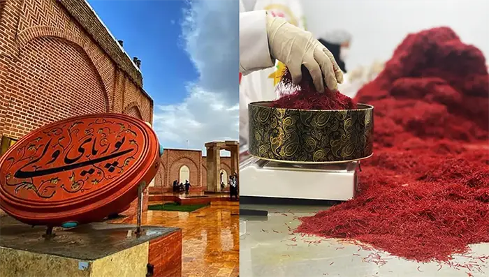 فروشنده زعفران قائنات در خوی - زعفران آنا قاین
