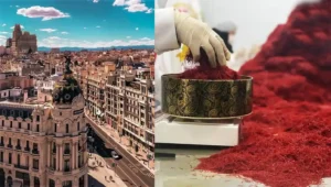 نحوه صادرات زعفران به اسپانیا - فروشگاه زعفران آنا قاین