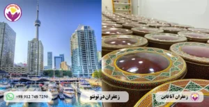 خرید زعفران در تورنتو