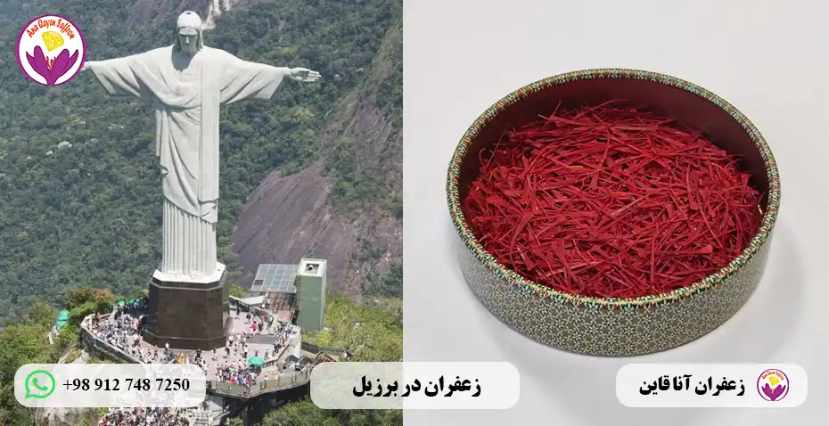 قیمت زعفران در برزیل