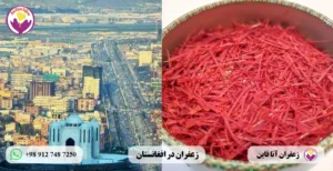 قیمت زعفران در افغانستان