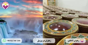 صادرات زعفران به برزیل