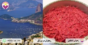 خرید زعفران در برزیل