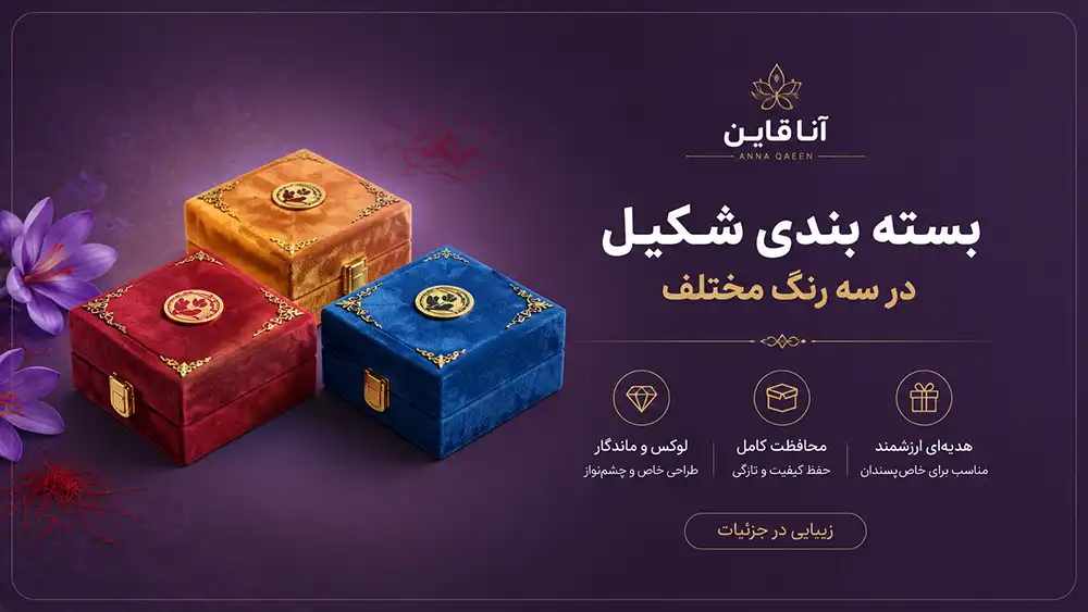صفحه اصلی آنا قاین